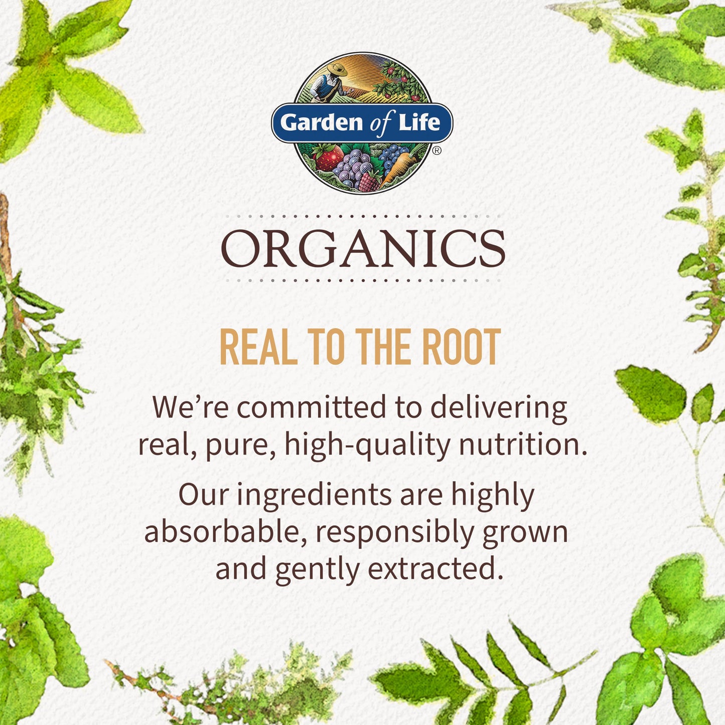 Garden of Life Women’s Multivitamin, 60 tablets, organic, vegan, with iron and biotin for energy, hair, skin, and nails.