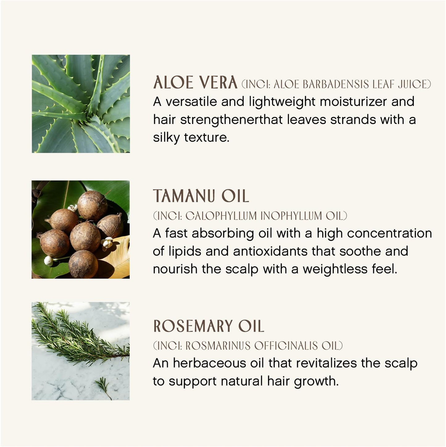 MaryRuth Beauty+ Capsules – Vegan, anti-aging, with biotin, collagen & probiotics